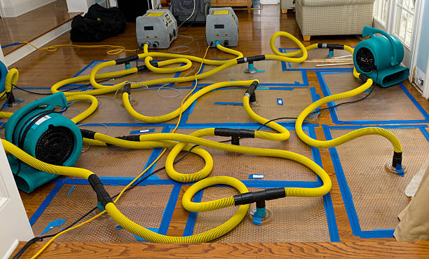 Professional Flood Damage Restoration technician working in Tahoma, CA